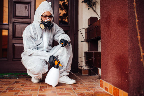 Reliable Bed Bug Control contractor in Burns Flat, OK by Nex Pest Control
