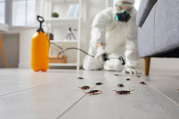 Affordable Bed Bug Control solutions in Burns Flat, OK