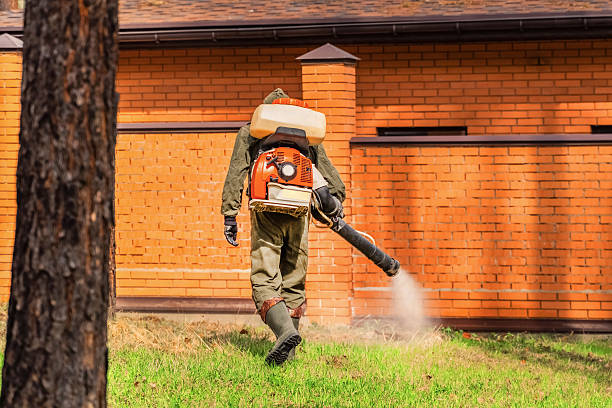 Top rated local Bed Bug Control specialists in Burns Flat, OK